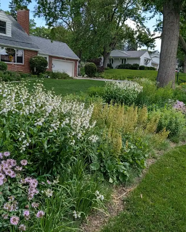 Perennial Flower Border