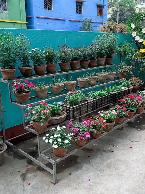 Tiered Metal Plant Stand Display
