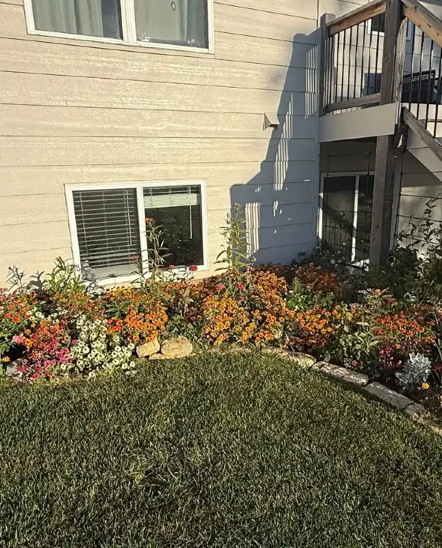 Stonework Bordered Sun-Loving Zinnia Bed