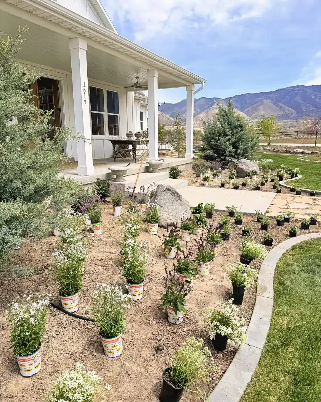 Mountain-View In-Progress Front Yard Bed