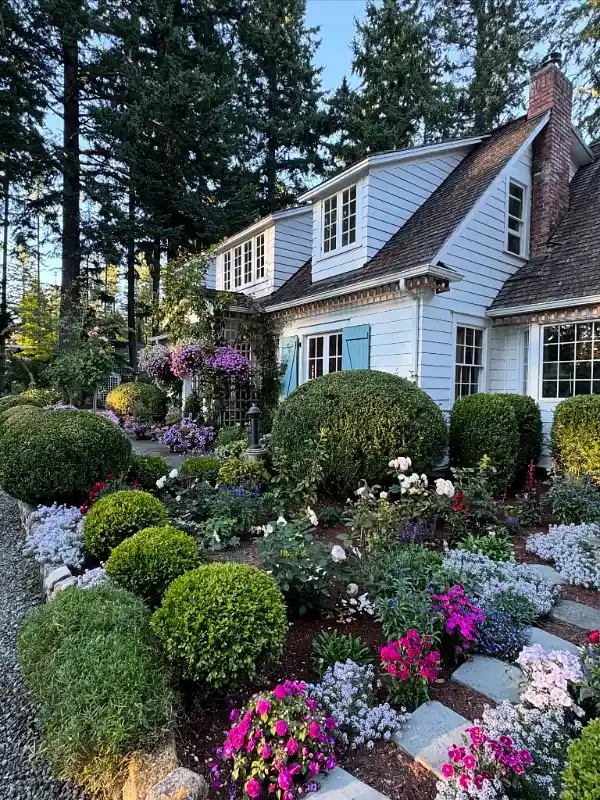 Symmetrical Boxwood and Rose Front Garden