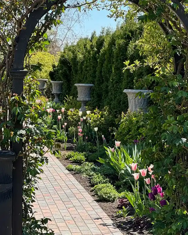 Formal Arched Walkway and Tulip Bed
