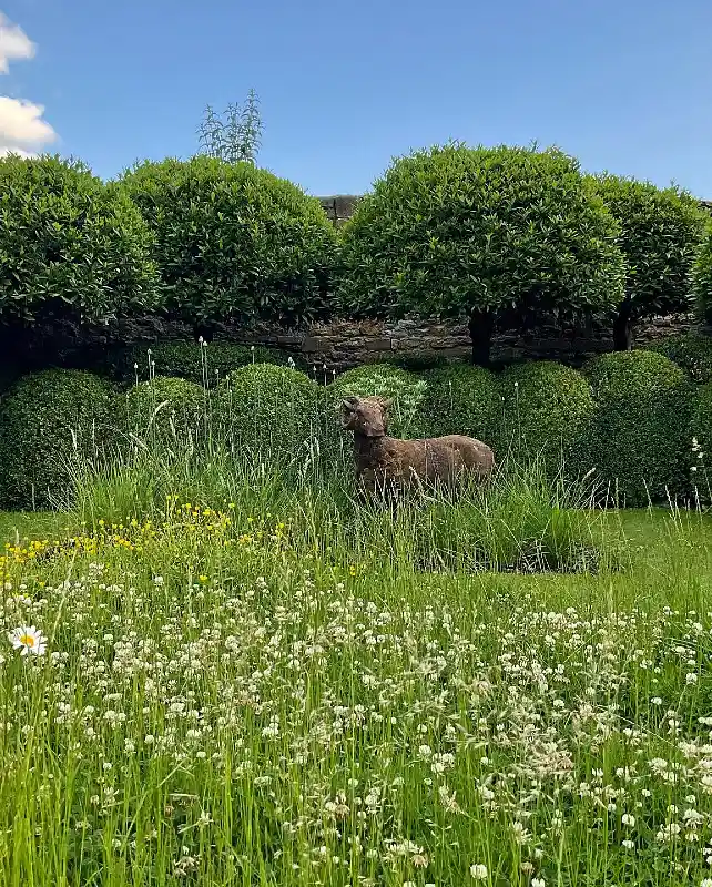Sculptural Meadow Garden
