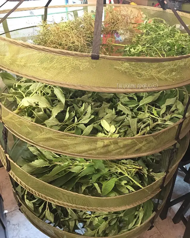 Multi Tiered Mesh Hanging Net