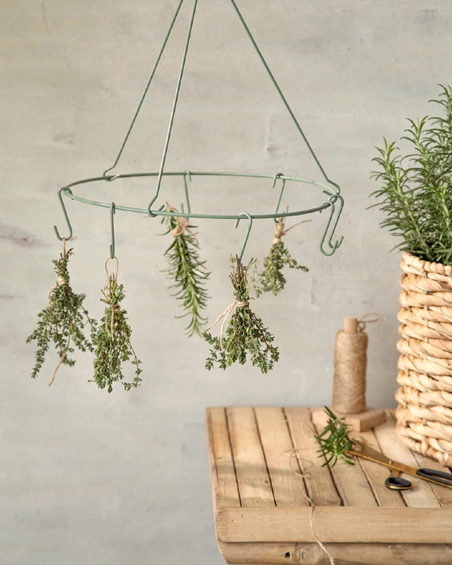 Circular Wire Rack with Built In Hooks