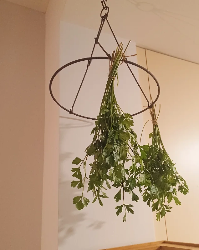 Vintage Wire Topiary Frame Hanger
