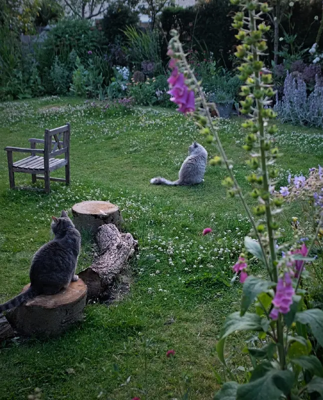 Flowering Meadow with Garden Seating