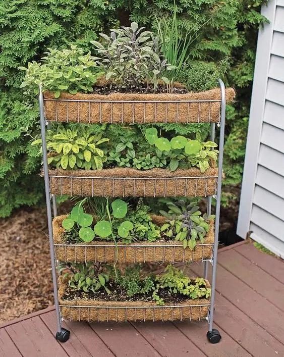 Mobile Tiered Cart with Coir Liners