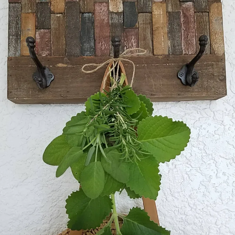 Patchwork Wood Plaque with Coat Hooks