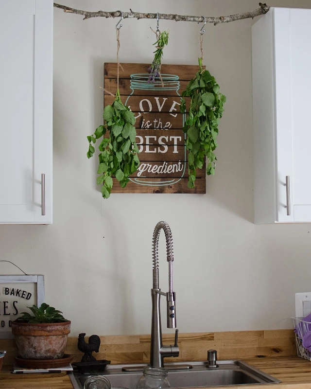 Cabinet-Bridging Branch with S-Hooks