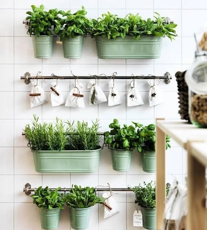 Multi-Tiered Wall Rails with Planters and Sachets