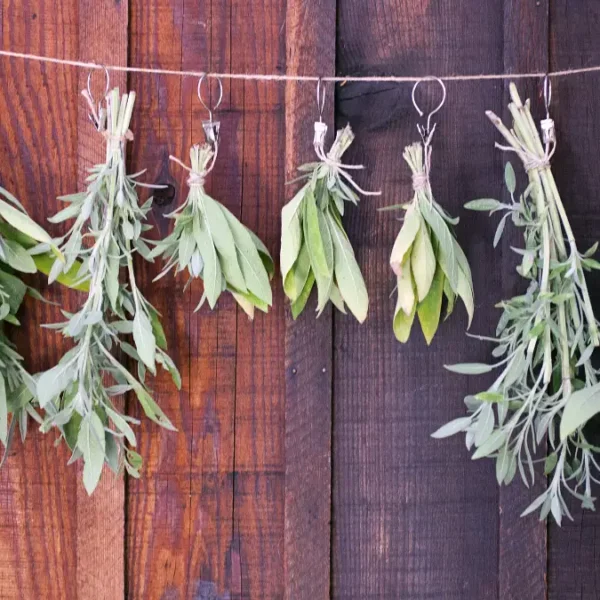 33 Simple DIY Herb Drying Rack Ideas You Can Make In An Hour