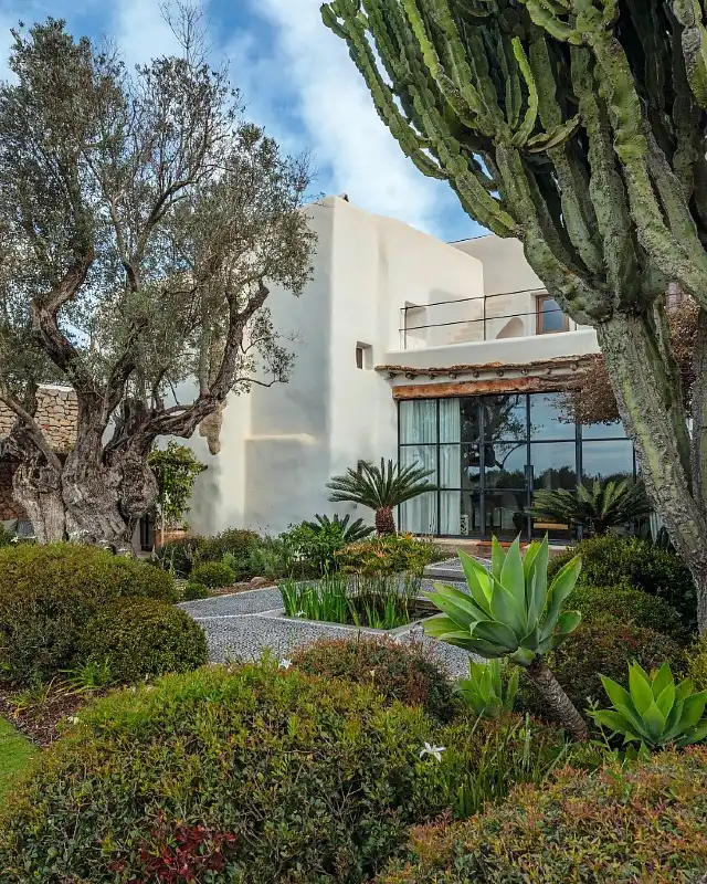 White Stucco Courtyard with Agave and Cacti