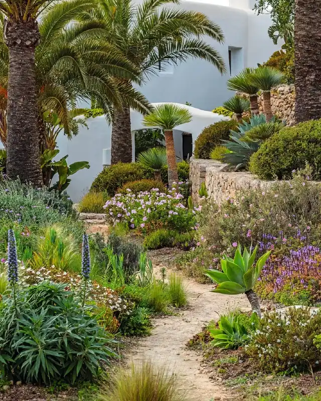 Palm Trees and Terraced Retaining Walls