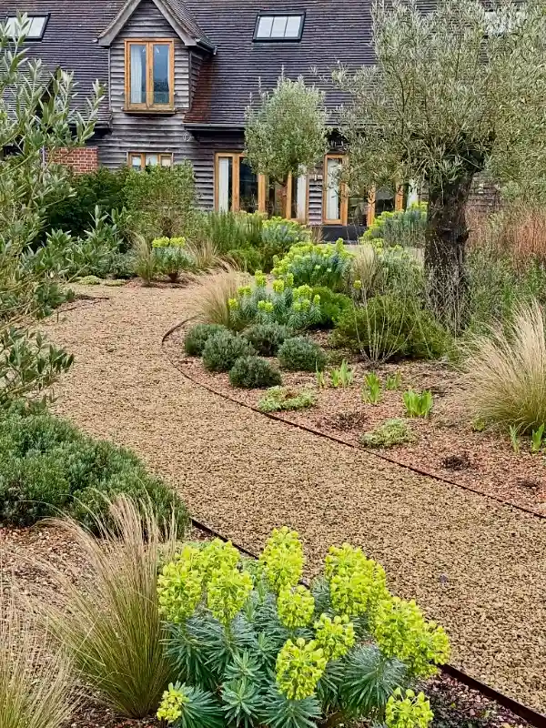 Curved Pea Gravel Path with Chartreuse Euphorbia