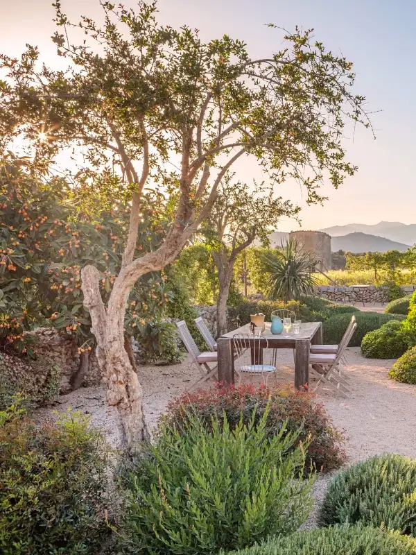 Al Fresco Dining Area with Fruiting Loquat Trees