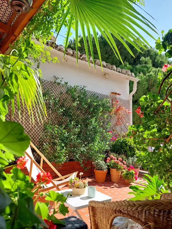 Tiled Sun Terrace with Fan Palm Shade
