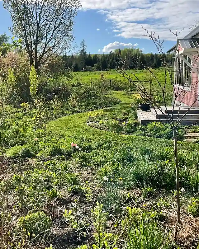 Meadow Garden with Mown Pathway