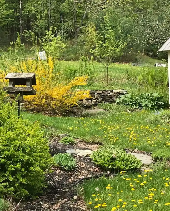 Rustic Wildlife Meadow