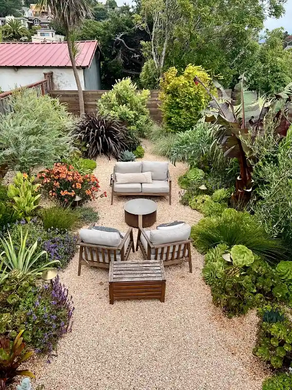 Gravel Lounge Area with Ensete and Aeonium Borders