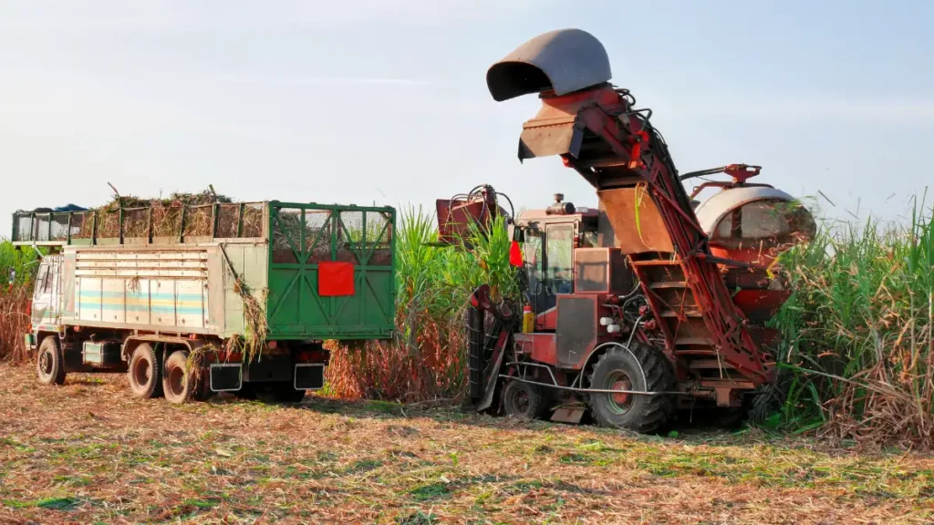 What is a Zero Waste Harvesting Station?