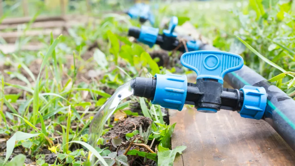 Composting Loop