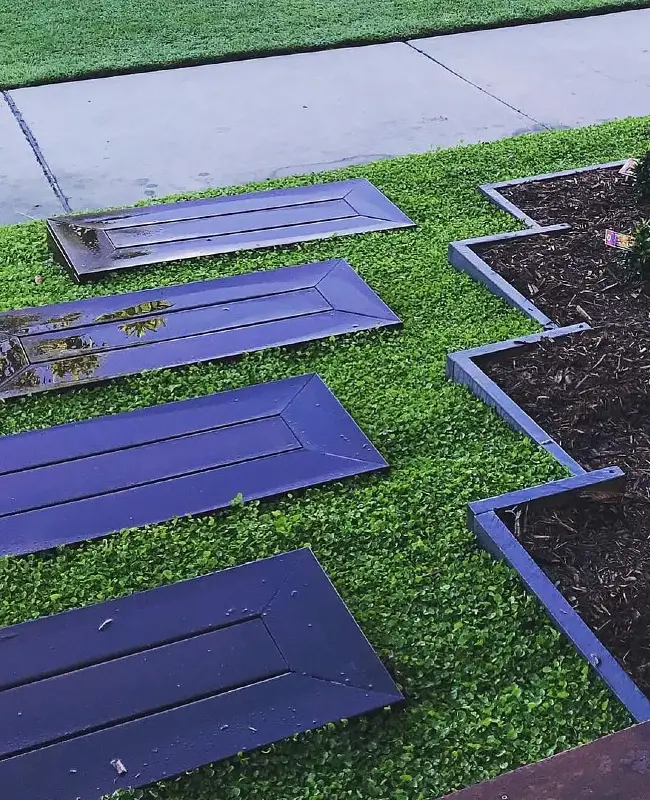 Modern Stepping Stone Path with Dichondra