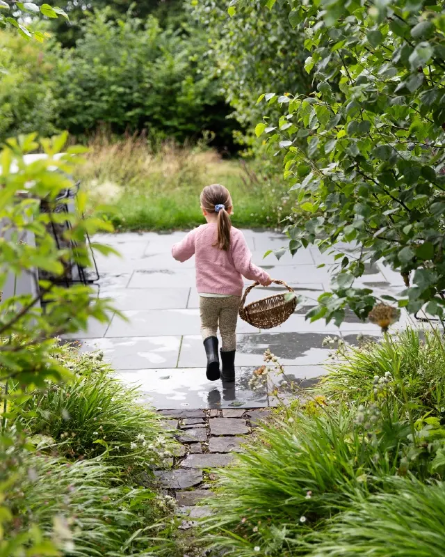 Foraging Pathway Hedge