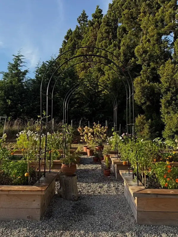 Metal Archway Garden
