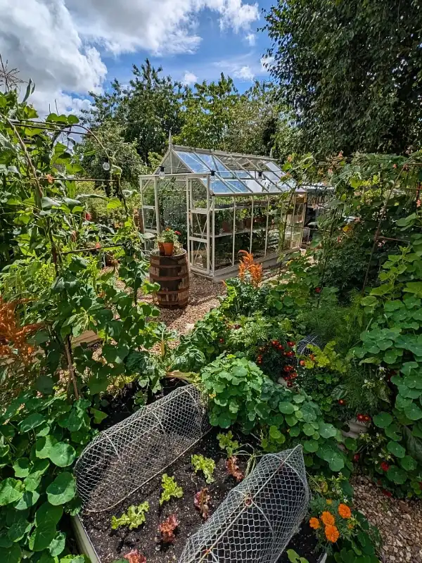 Glass Greenhouse Sanctuary