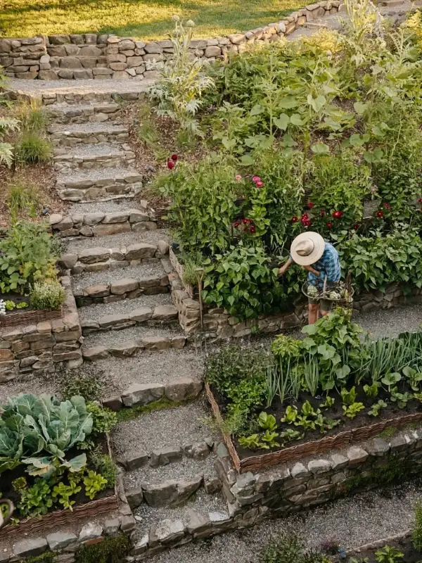 Stone Terrace Vegetable Hedge
