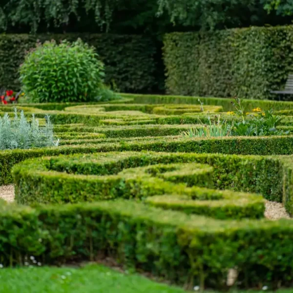 32 Beautiful Edible Hedge Garden Ideas For A Lush Landscape