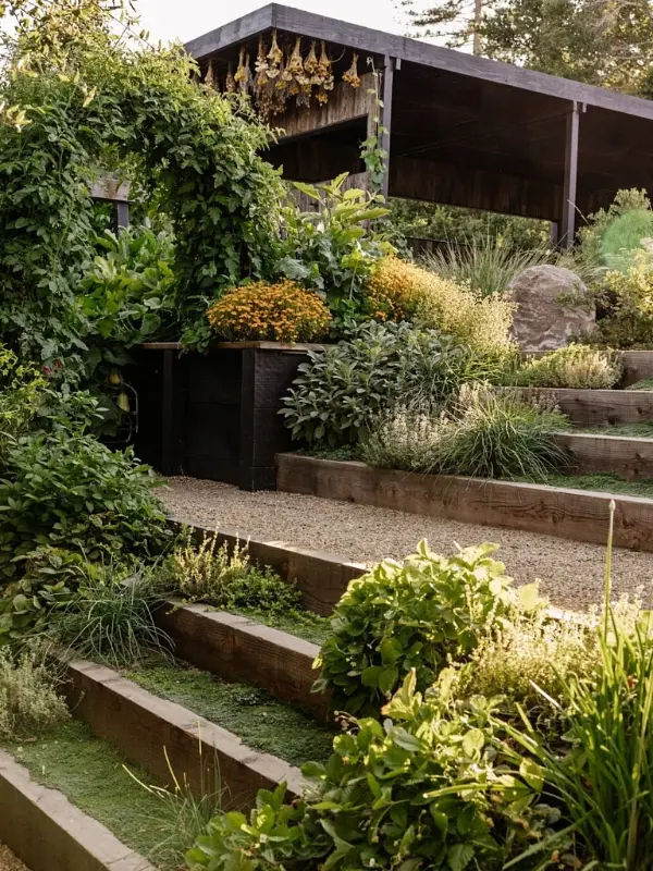 Terraced Herb and Berry Steps