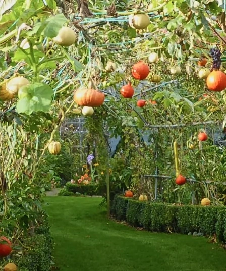 Mixed Harvest Garden Tunnel