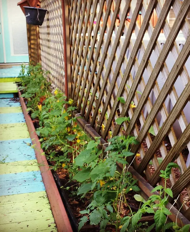 Lattice Privacy Screen