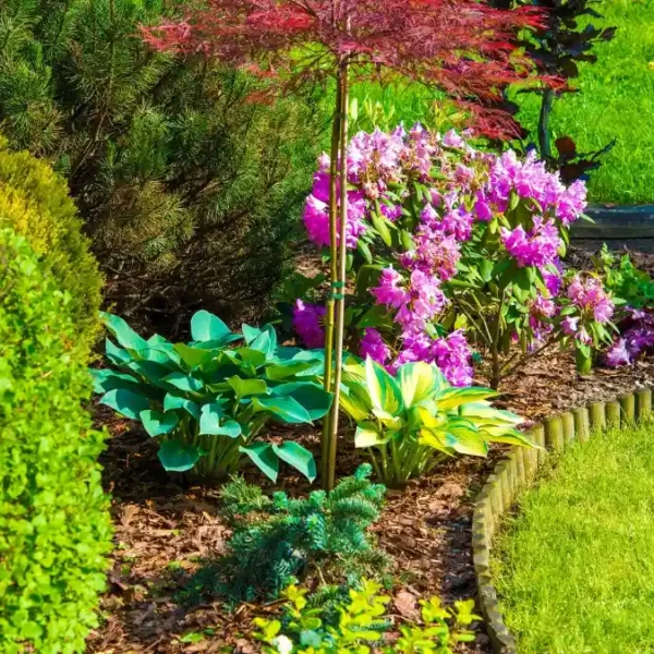 31 Insanely Vibrant Shade Gardens You Can Grow This Weekend