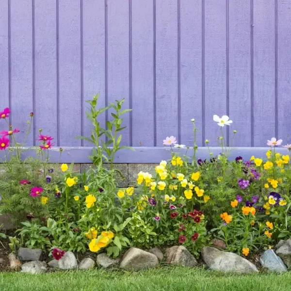 32 Unkillable Perennials Every Lazy Gardener Needs Right Now