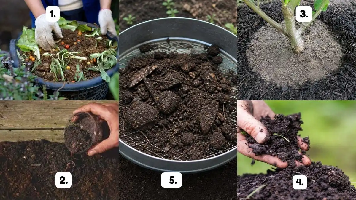 5 Compost Mistakes That Waste Your Time and Money