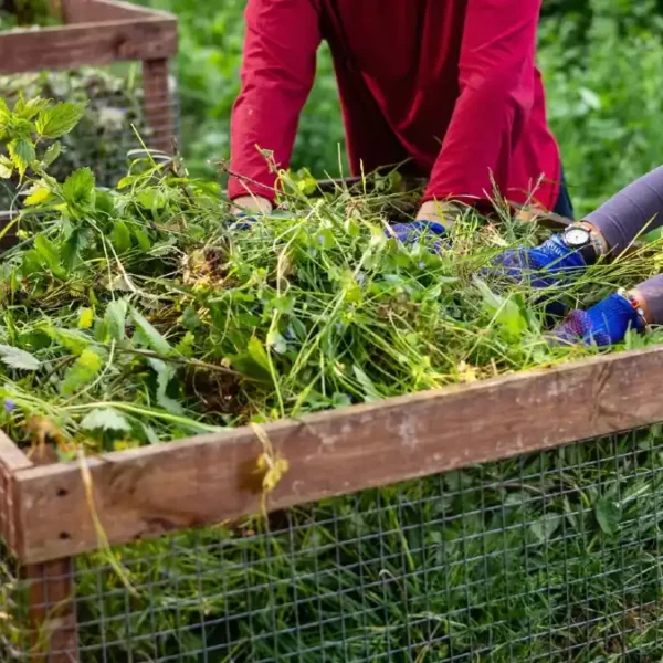 7 Summer Composting Tips To Prevent Overheating and Smell