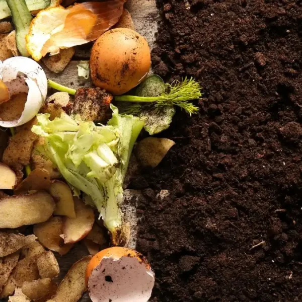 9 Composting Mistakes That Are Secretly Ruining Your Pile (And the Easy Fixes)