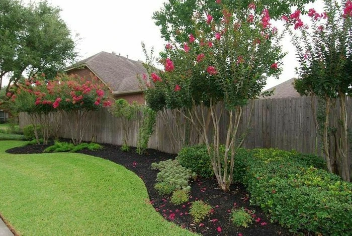 Backyard Barrel Orchard
