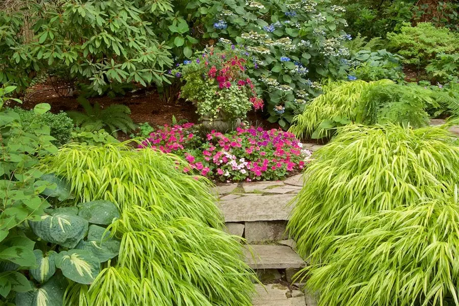 Cascading Forest Grass