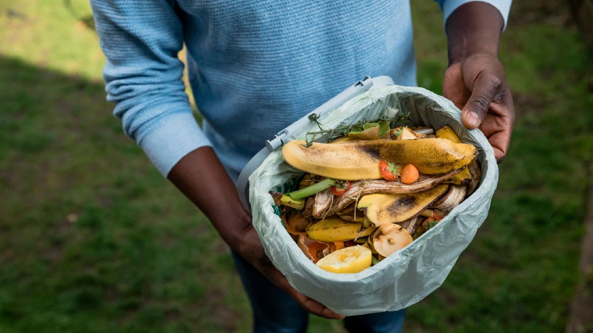Chop Scraps Small or Store Them Frozen
