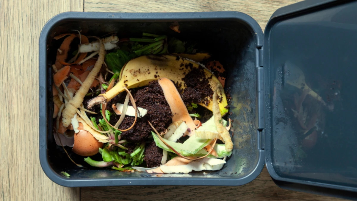 Chop Scraps Small or Store Them Frozen