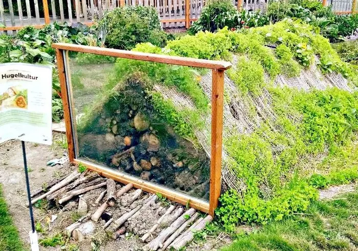 Educational Glass Viewing Mound