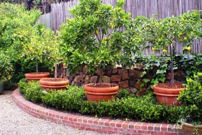 Fenced Orchard Enclosure