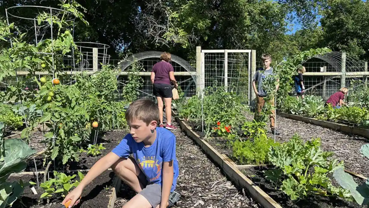 For Existing Beds, You Already Plant Every Year