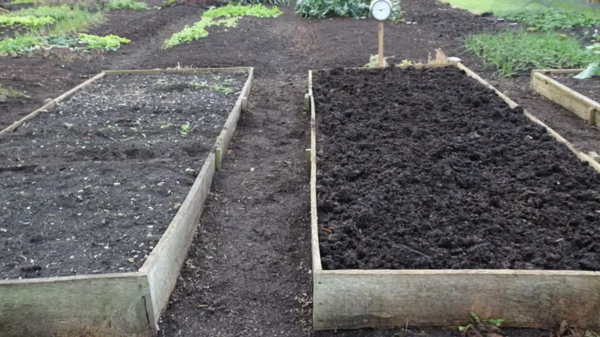For New Garden Beds