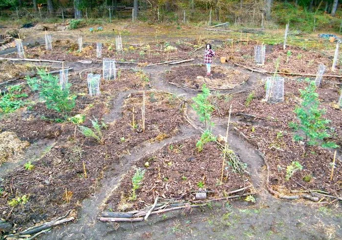 Geometric Log Bordered Garden
