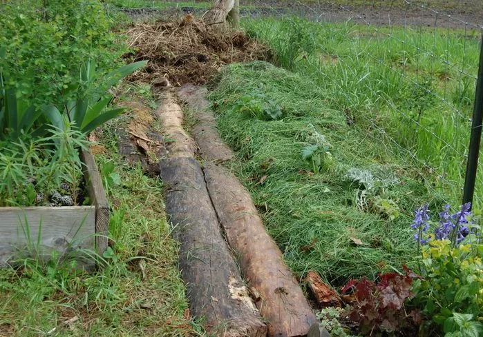 Grass-Covered Log Foundation